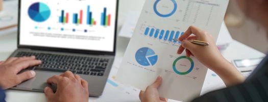 Payroll Reports and Analytics Software Module